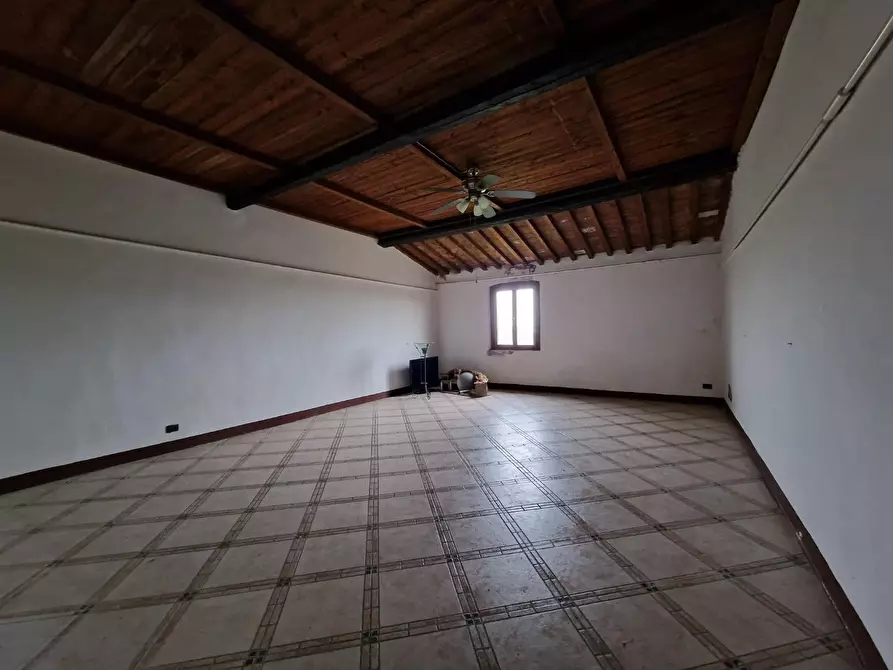 Immagine 28 di Casa colonica in vendita  a Fauglia