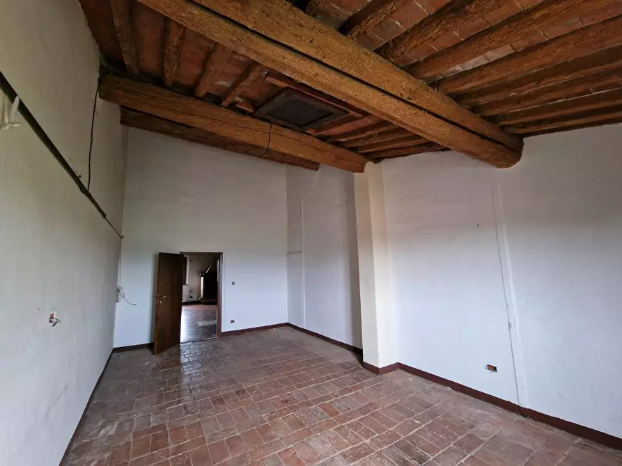 Immagine 24 di Casa colonica in vendita  a Fauglia