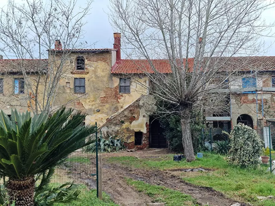 Immagine 3 di Casa colonica in vendita  a Fauglia