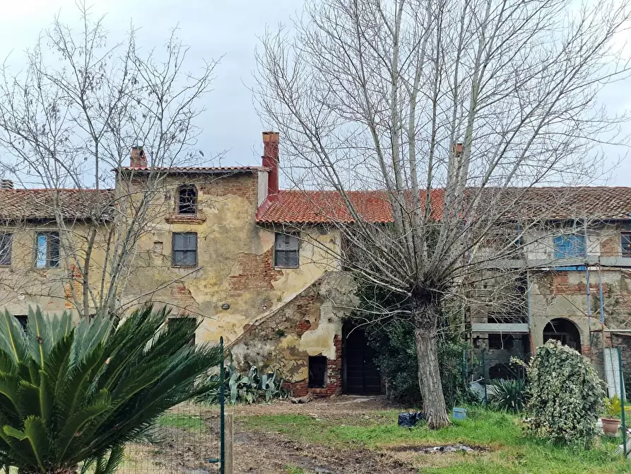 Immagine 2 di Casa colonica in vendita  a Fauglia