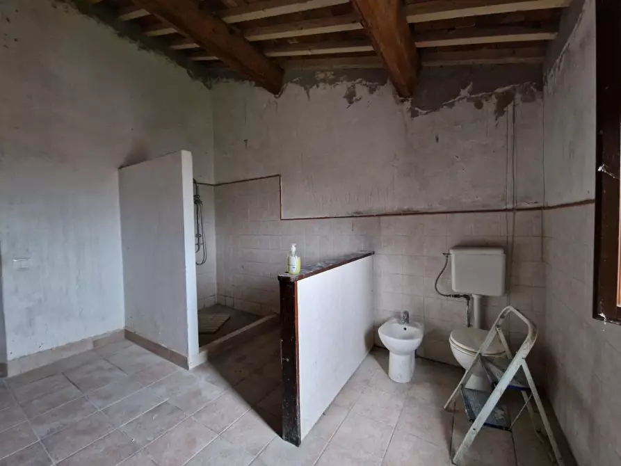 Immagine 14 di Casa colonica in vendita  a Fauglia