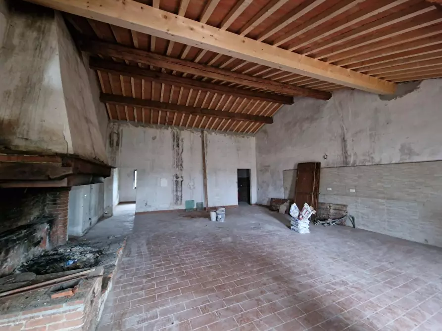 Immagine 9 di Casa colonica in vendita  a Fauglia