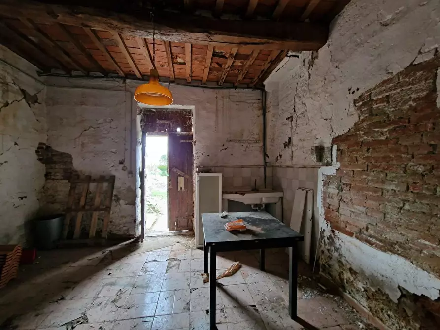 Immagine 45 di Casa colonica in vendita  a Fauglia