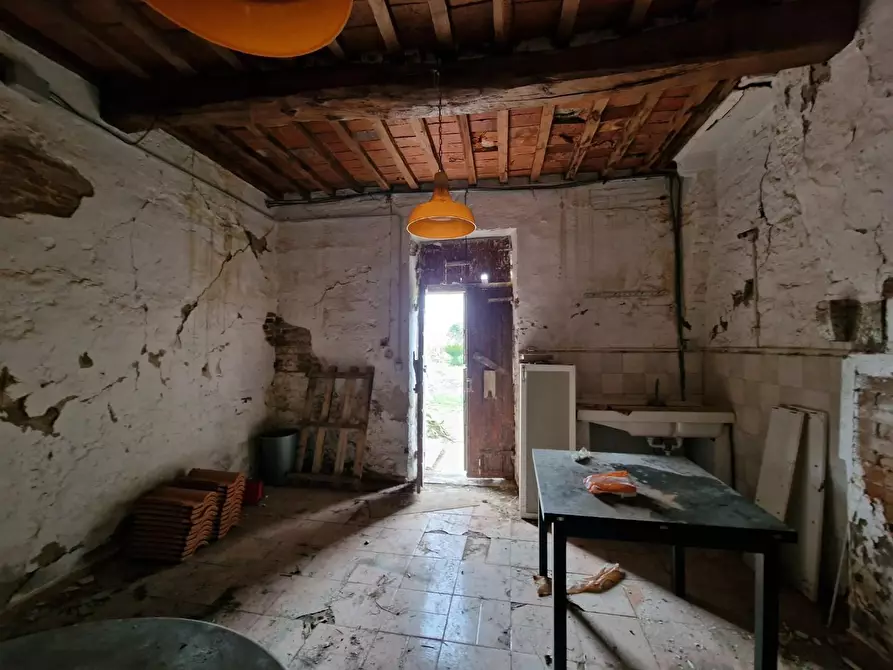 Immagine 44 di Casa colonica in vendita  a Fauglia