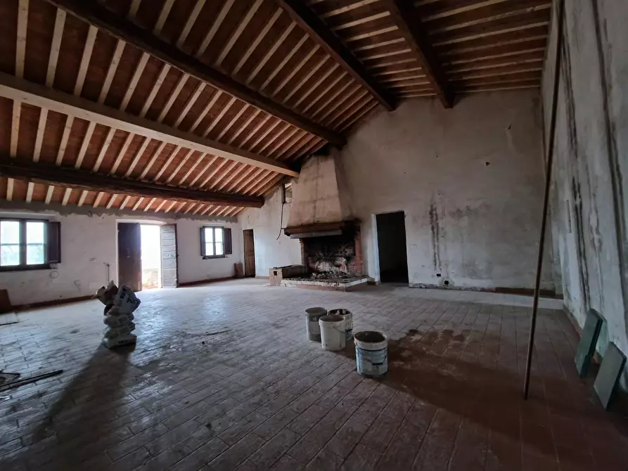 Immagine 13 di Casa colonica in vendita  a Fauglia