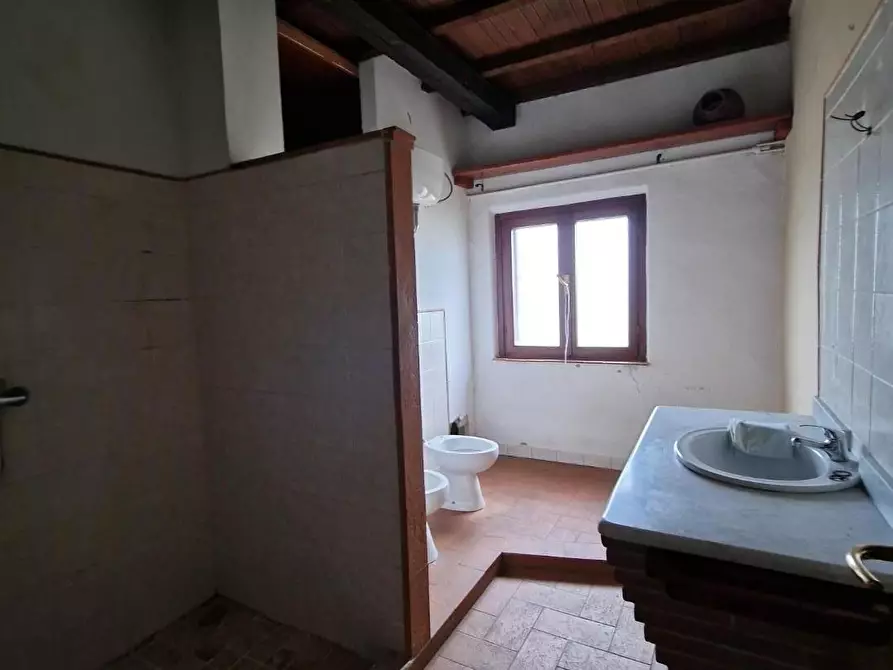 Immagine 32 di Casa colonica in vendita  a Fauglia