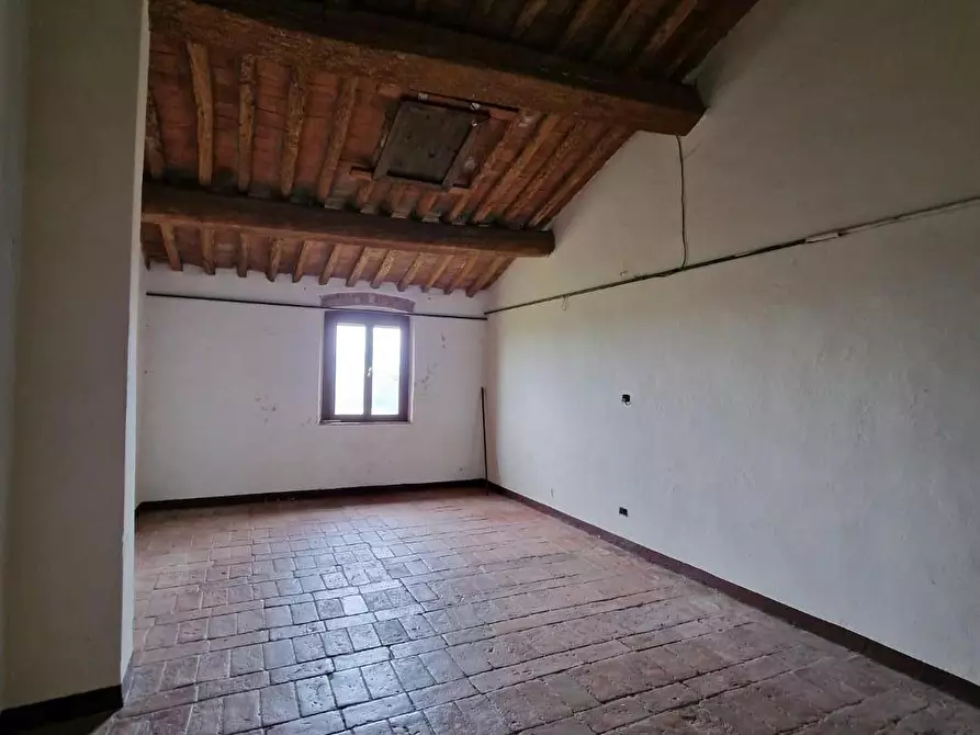 Immagine 23 di Casa colonica in vendita  a Fauglia