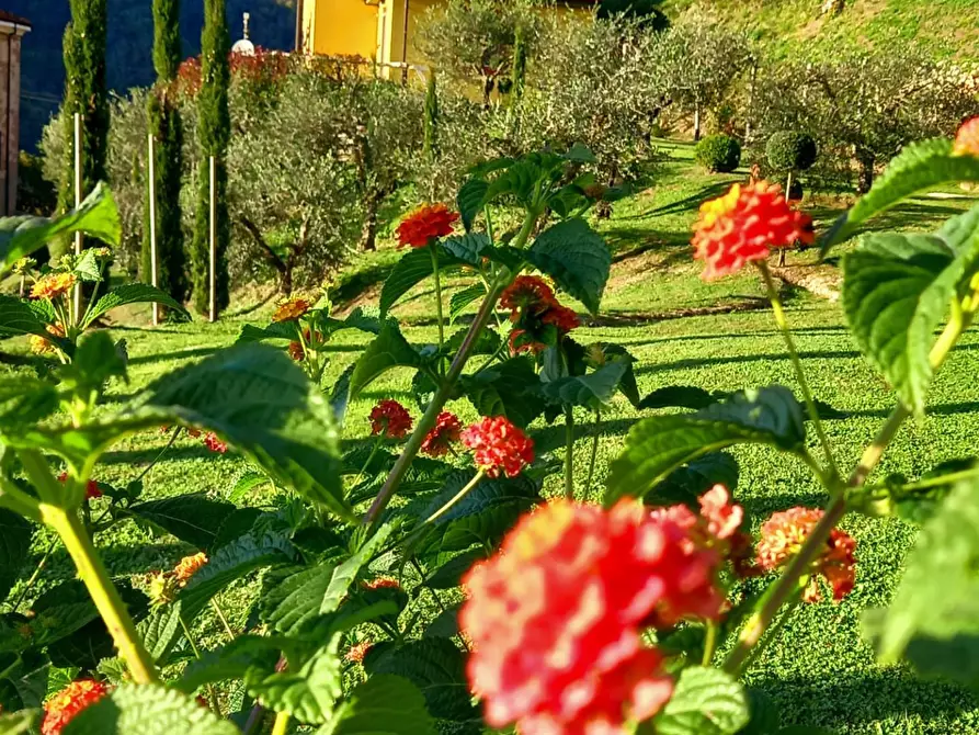 Immagine 8 di Villa in vendita  a Fivizzano