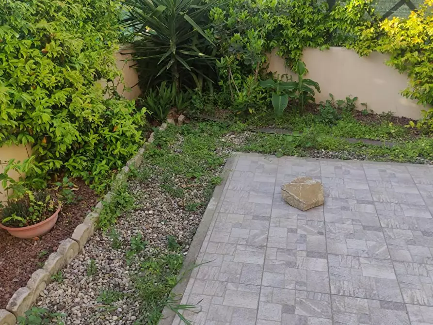 Immagine 6 di Appartamento in vendita  a Livorno