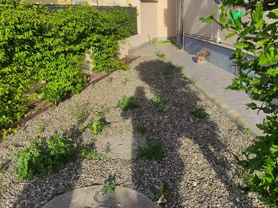 Immagine 3 di Appartamento in vendita  a Livorno