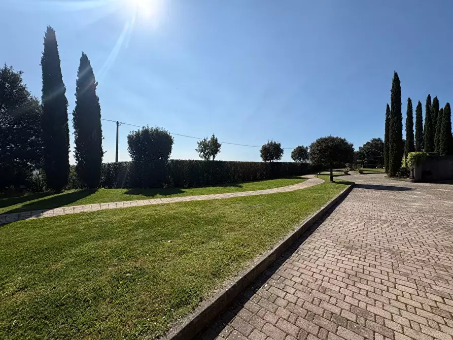 Immagine 75 di Villa in vendita  a Castelfiorentino