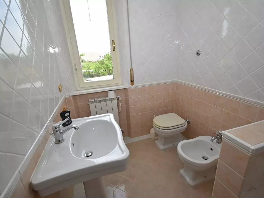 Immagine 32 di Appartamento in vendita  a Pisa