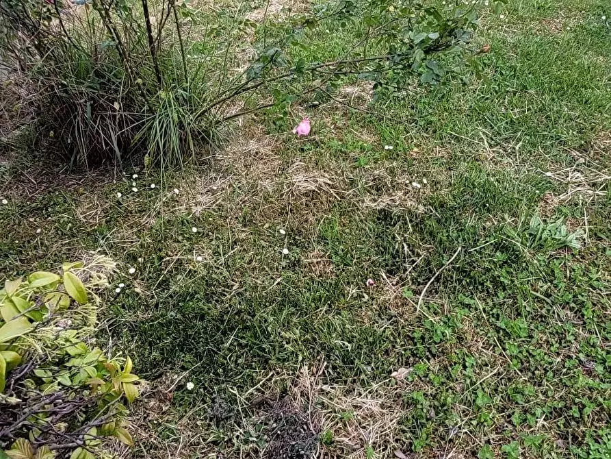 Immagine 41 di Appartamento in vendita  a Pisa