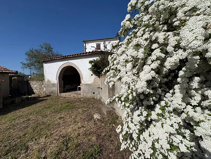 Immagine 2 di Casa semindipendente in vendita  a Chianni