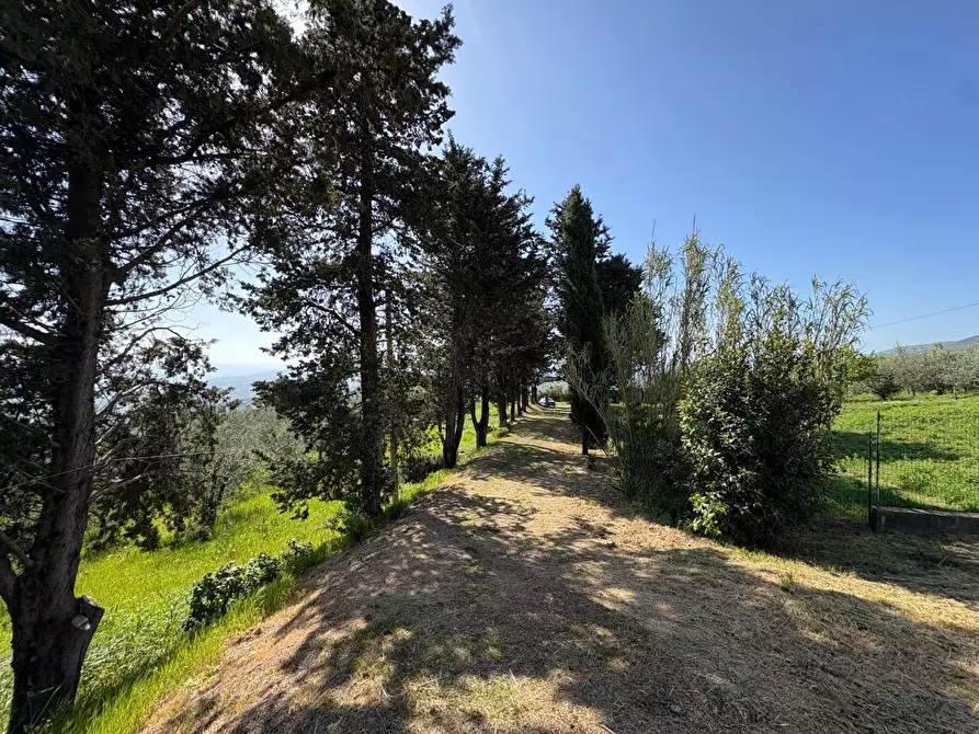Immagine 26 di Casa semindipendente in vendita  a Chianni