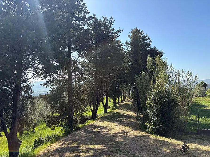 Immagine 27 di Casa semindipendente in vendita  a Chianni