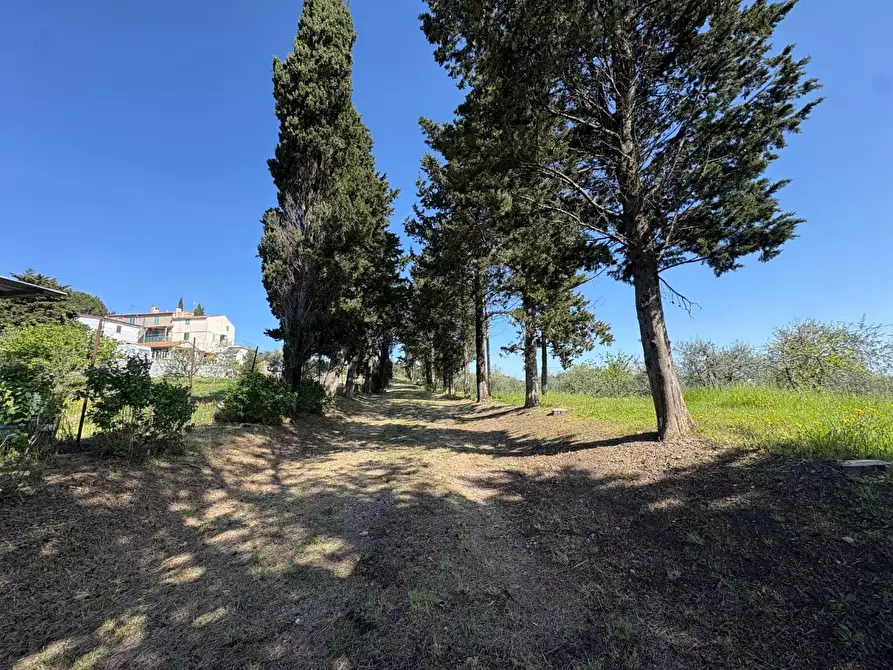 Immagine 33 di Casa semindipendente in vendita  a Chianni