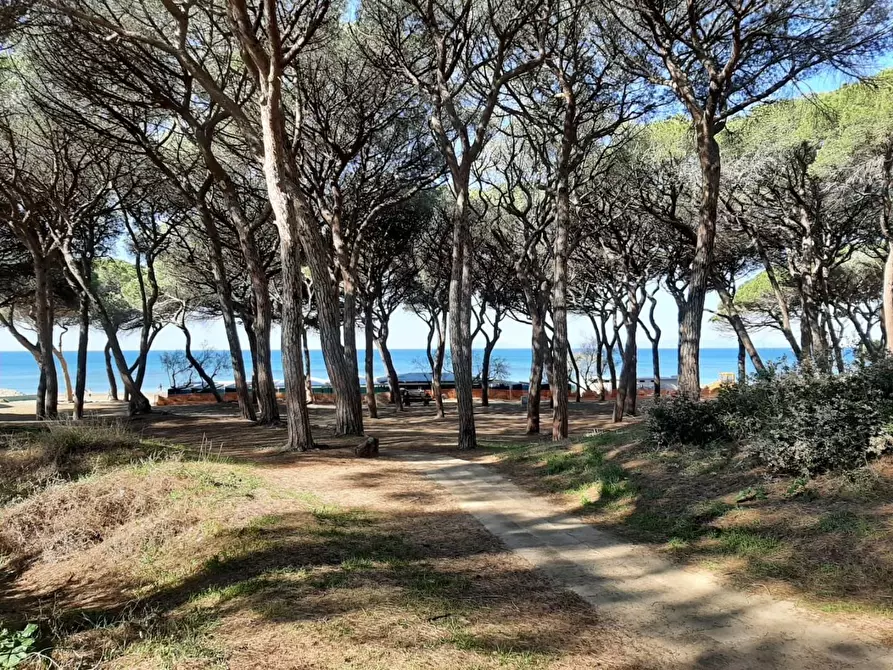 Immagine 14 di Appartamento in vendita  a Follonica