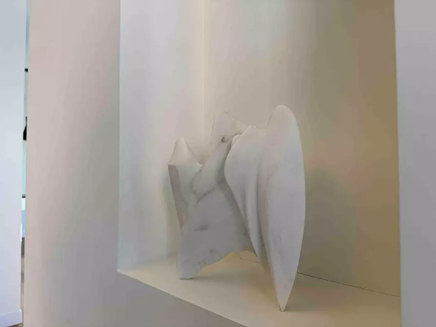 Immagine 17 di Villa in vendita  a Pietrasanta