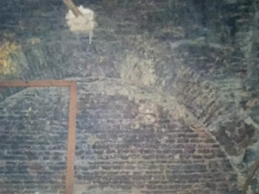 Immagine 4 di Magazzino in vendita  a Vicopisano