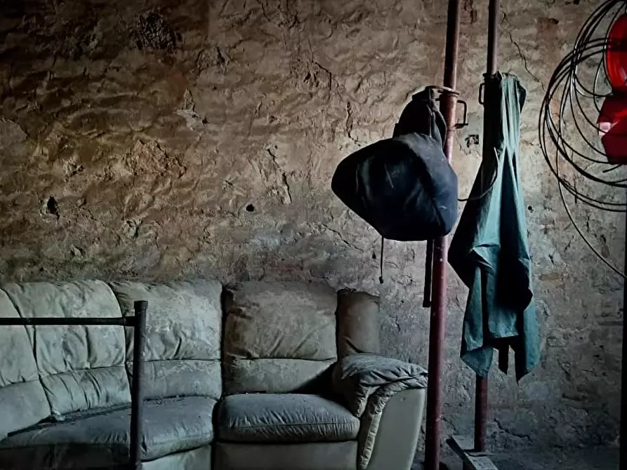 Immagine 8 di Magazzino in vendita  a Vicopisano