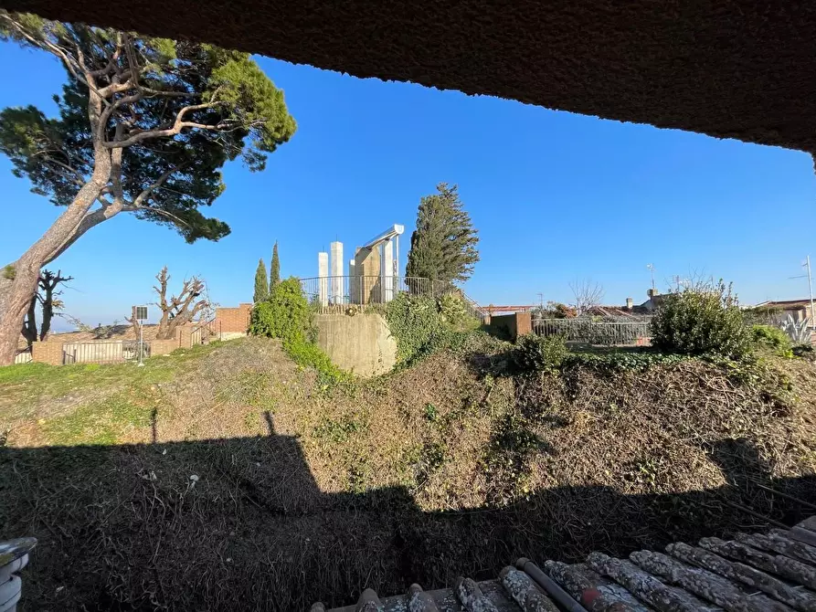 Immagine 9 di Appartamento in affitto  a Peccioli