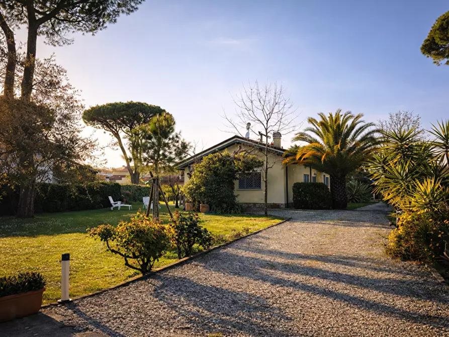 Immagine 1 di Villa in affitto  a Forte Dei Marmi