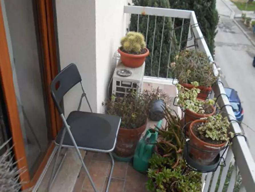 Immagine 11 di Appartamento in vendita  a Campi Bisenzio