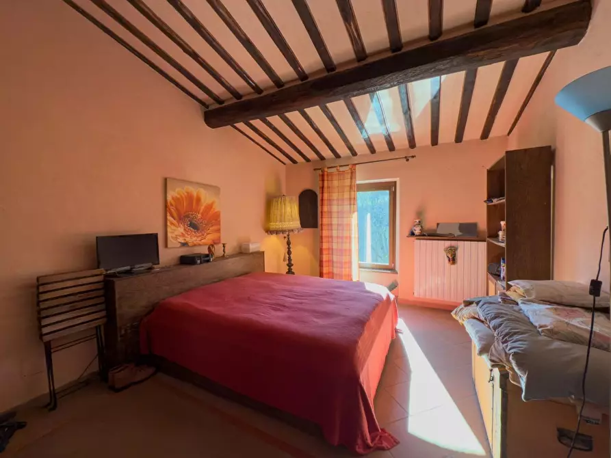 Immagine 15 di Casa indipendente in vendita  a Castelnuovo Val Di Cecina