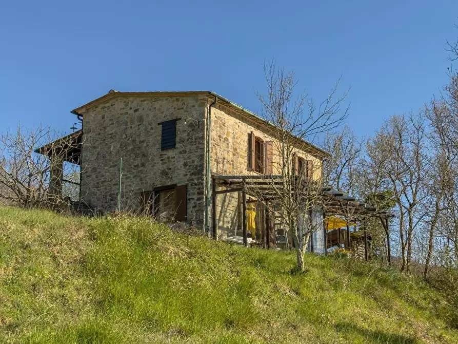 Immagine 11 di Casa indipendente in vendita  a Castelnuovo Val Di Cecina