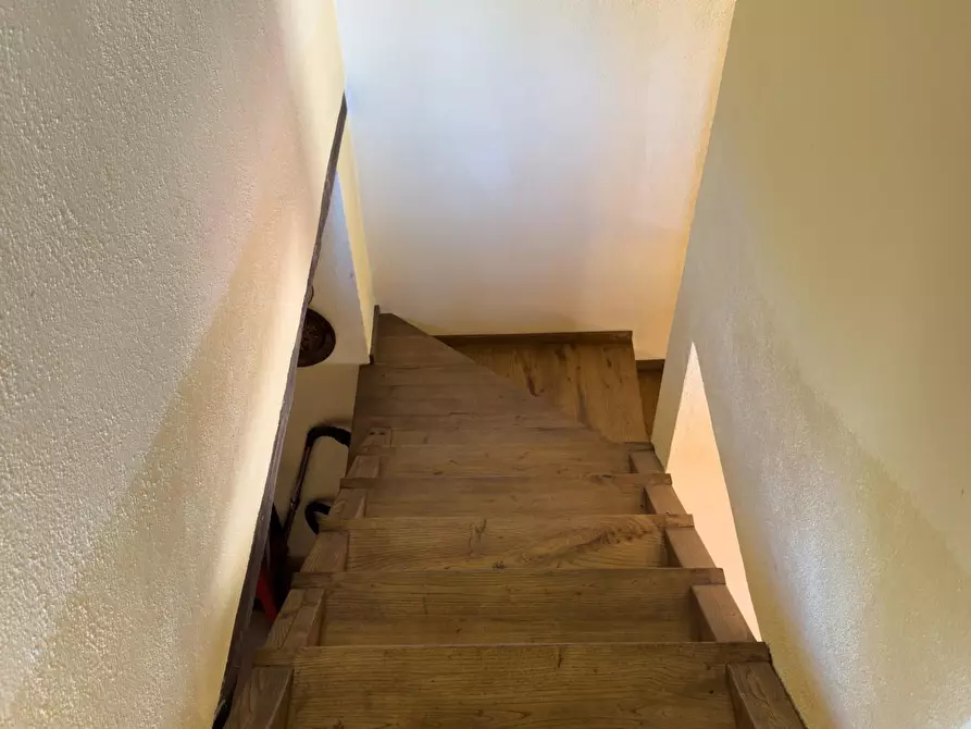 Immagine 13 di Casa indipendente in vendita  a Castelnuovo Val Di Cecina