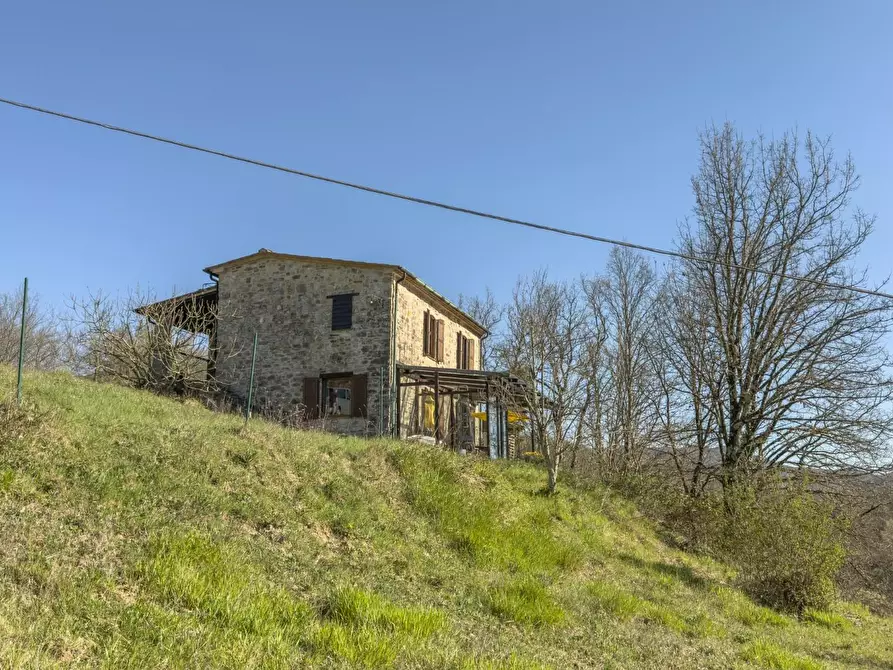 Immagine 12 di Casa indipendente in vendita  a Castelnuovo Val Di Cecina