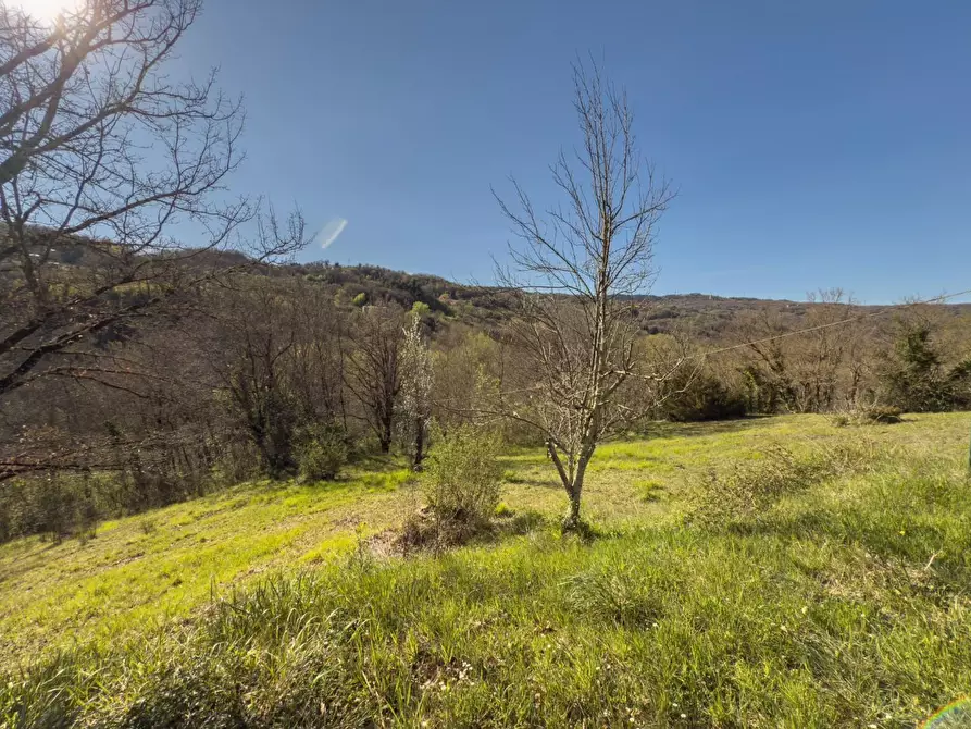 Immagine 8 di Casa indipendente in vendita  a Castelnuovo Val Di Cecina