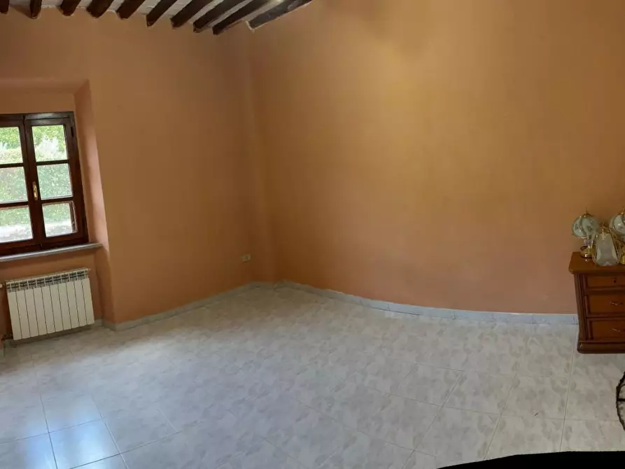 Immagine 5 di Terratetto in affitto  a Vecchiano