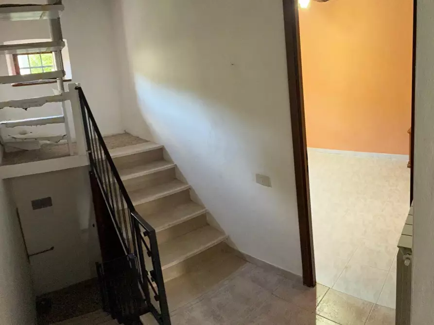 Immagine 8 di Terratetto in affitto  a Vecchiano