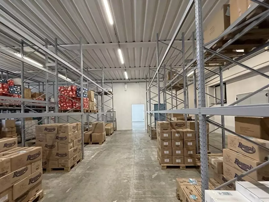 Immagine 3 di Attività artigianale in vendita  a Pontedera