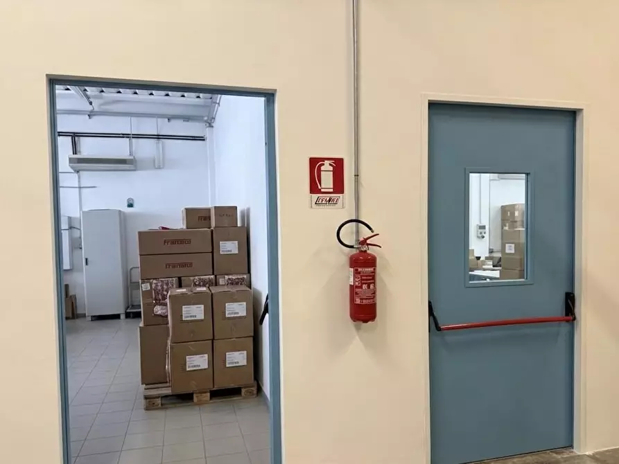 Immagine 19 di Attività artigianale in vendita  a Pontedera
