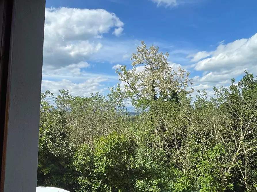 Immagine 15 di Appartamento in vendita  a San Miniato