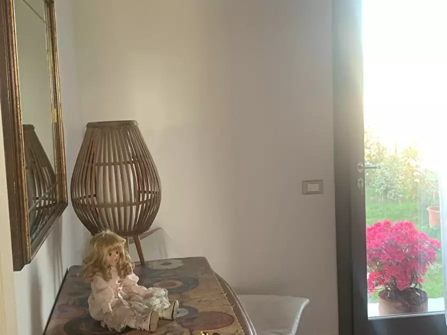 Immagine 22 di Casa colonica in vendita  a Lajatico