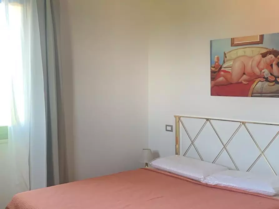 Immagine 18 di Casa colonica in vendita  a Lajatico