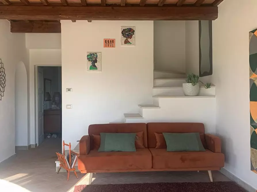 Immagine 3 di Casa colonica in vendita  a Lajatico