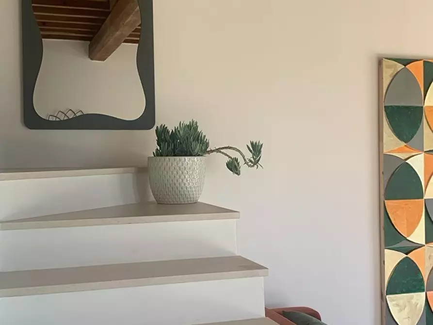 Immagine 19 di Casa colonica in vendita  a Lajatico