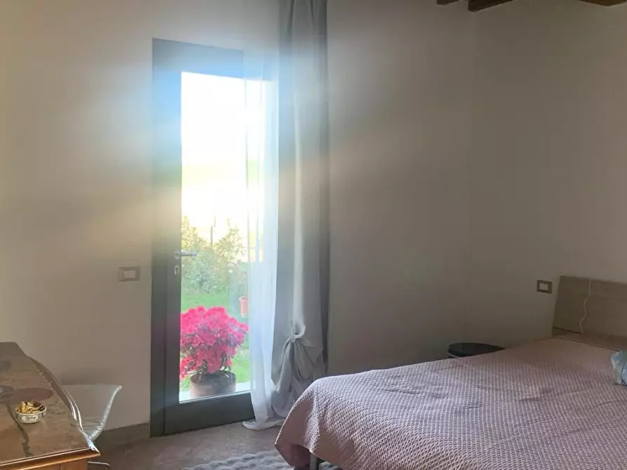 Immagine 21 di Casa colonica in vendita  a Lajatico