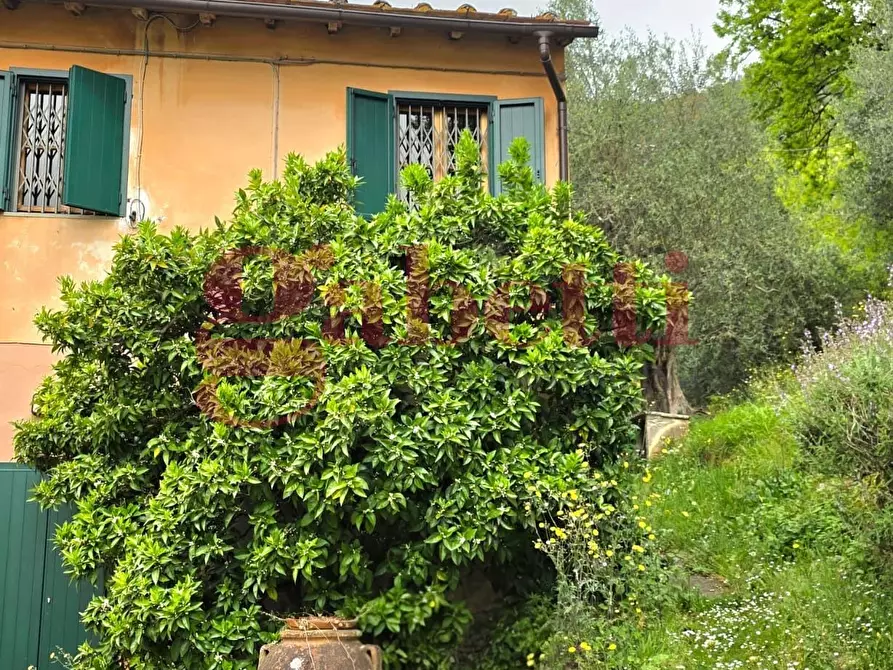 Immagine 17 di Rustico / casale in affitto  a San Giuliano Terme
