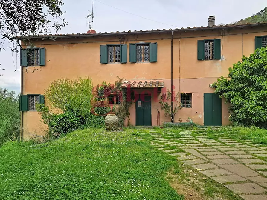 Immagine 4 di Rustico / casale in affitto  a San Giuliano Terme