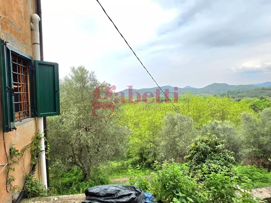 Immagine 15 di Rustico / casale in affitto  a San Giuliano Terme
