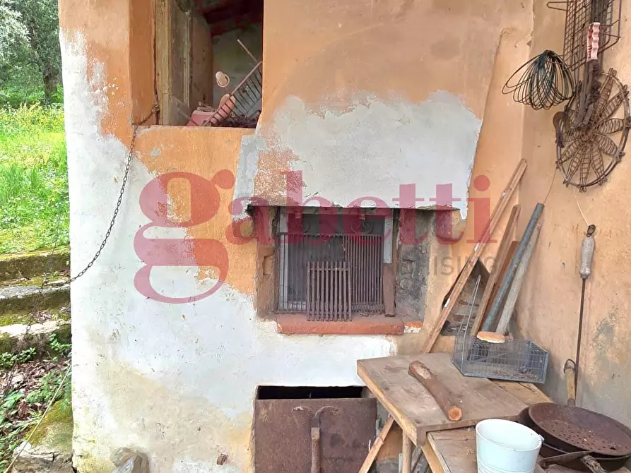 Immagine 13 di Rustico / casale in affitto  a San Giuliano Terme