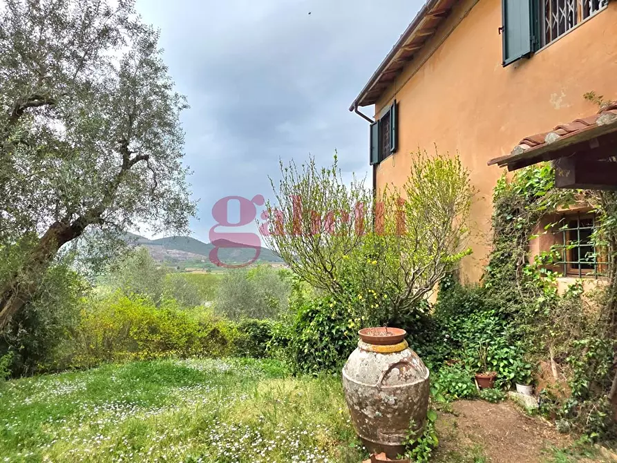 Immagine 11 di Rustico / casale in affitto  a San Giuliano Terme