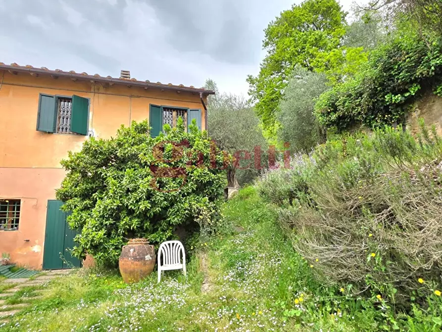 Immagine 6 di Rustico / casale in affitto  a San Giuliano Terme