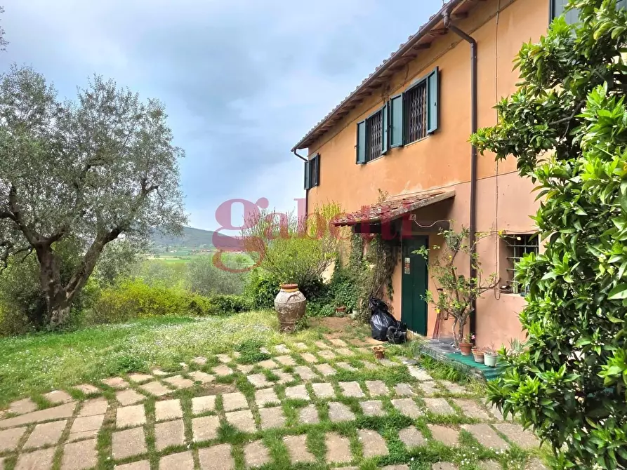 Immagine 9 di Rustico / casale in affitto  a San Giuliano Terme